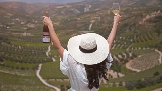 HERAKLION: Wine tasting at Douloufakis Vineyards ARISMARI