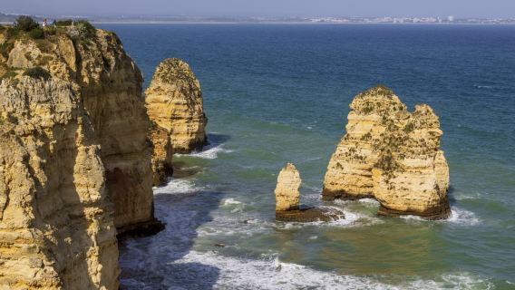 Cape Town pergi-balik Gunung Meja + Pulau Anjing Laut lawatan sewa peribadi - Canpin