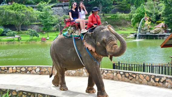 [Officielt] Pattaya vilde elefantpark elefantridning/skydning/ATV - rundtur transport