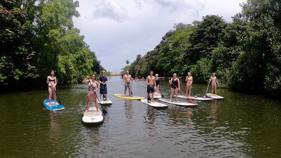 HonoluluTours