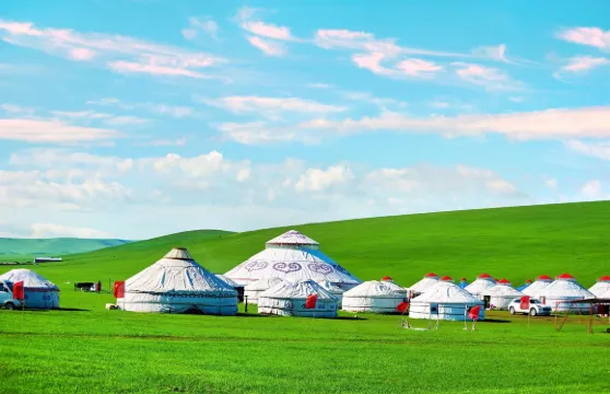 策馬奔騰．縱情草原{呼倫貝爾大草原+滿洲里國門+莫爾格勒河}