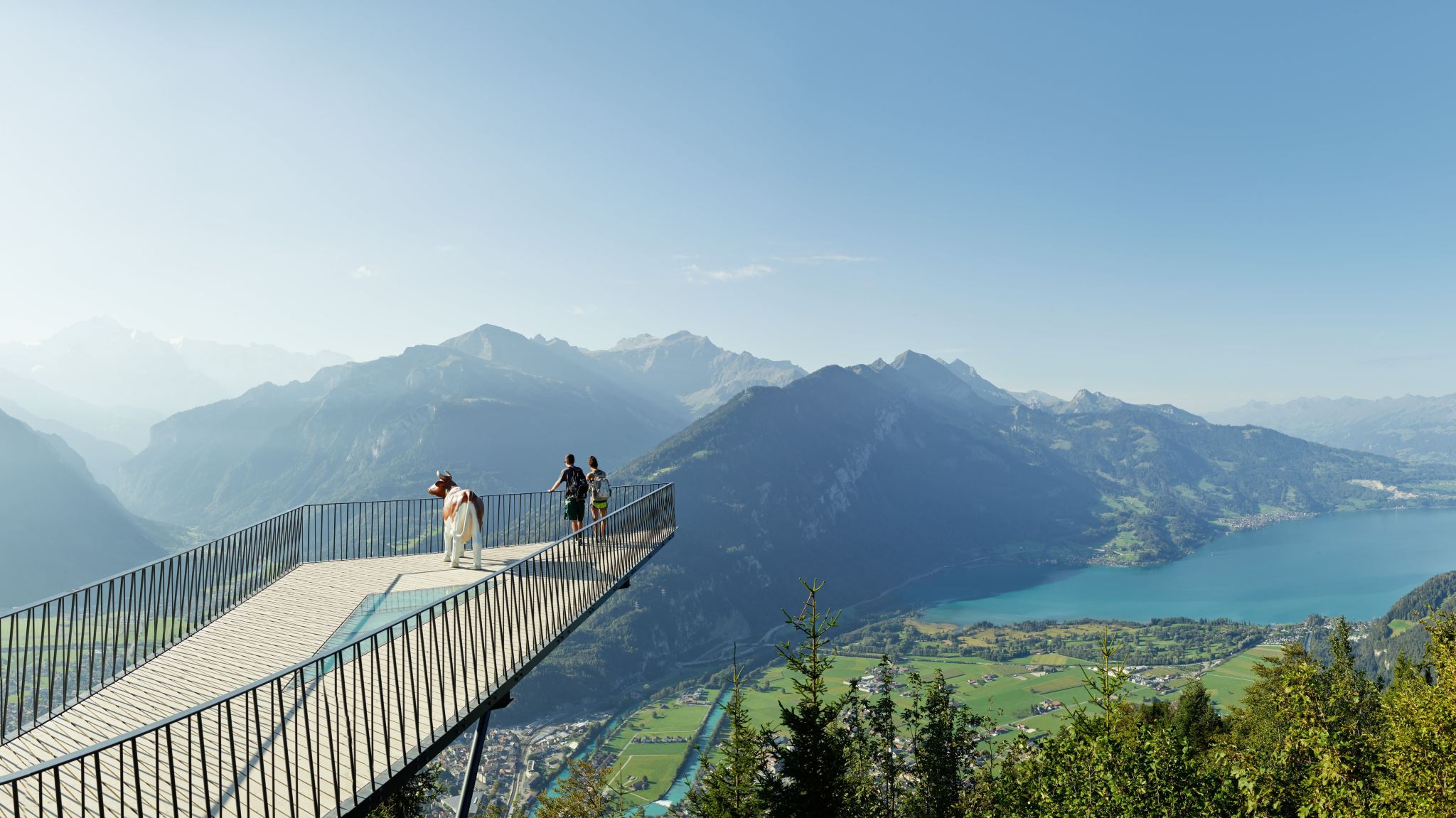 Ticket funicular Harder Kulm from Interlaken Ost