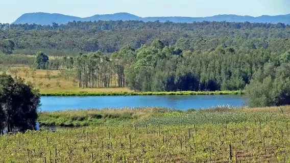 澳洲雪梨獵人谷一日遊【酒莊品酒/含午餐/美酒美食之旅】