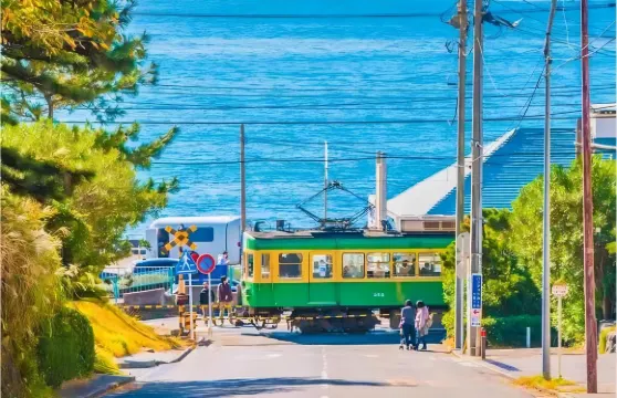 【限時特價】東京鎌倉+江之島+鶴岡八幡宮一日遊,含江之電體驗