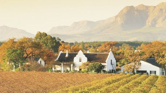 Cape TownExperiences