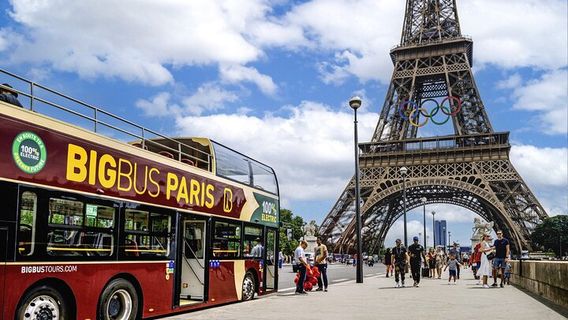 LuxorTravel Services