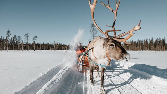 Rovaniemi