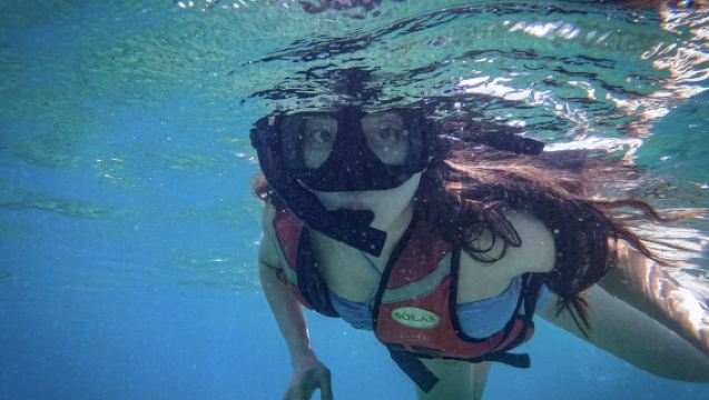 สิงคโปร์ (SAC) & มาเลเซีย (MDAC) บริการกรอกบัตรขาเข้าอิเล็กทรอนิกส์ [แก้ไขปัญหาการเข้าออกประเทศอย่างรวดเร็ว]