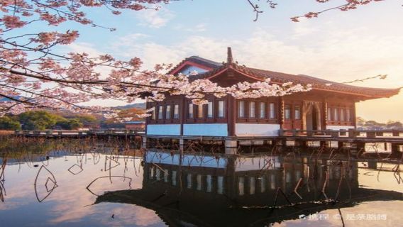 崑山日遊