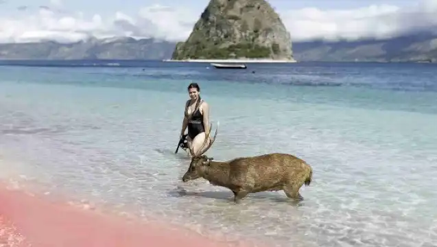 下拉布安：6 座標誌性島嶼快艇一日遊