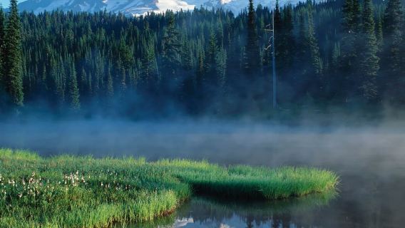 アメリカ・シアトルのレーニア山国立公園ワンデーツアー【バスツアー/12名様限定】