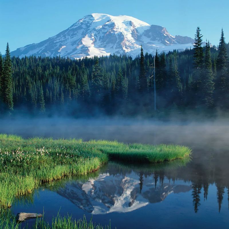 1-day tour to Mount Rainier National Park from Seattle [Bus tour/12-person small group]