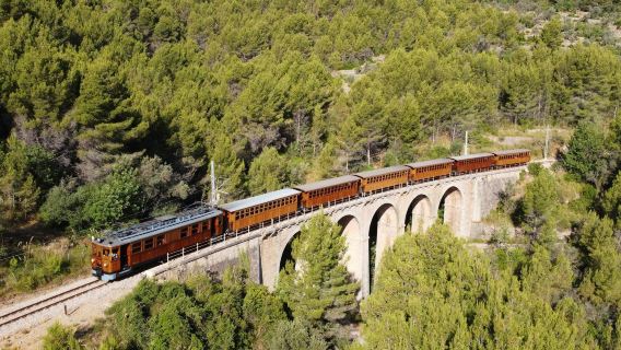 Palma de MallorcaTours