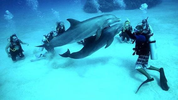 HurghadaExperiences