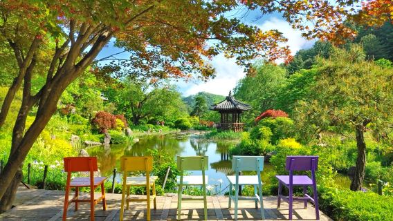 Nami Island, Gangchon Rail Bike, and The Garden of Morning Calm