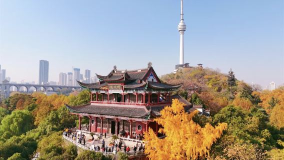 Hubei Wuhan guide |Local guide| Scenic spot explanation | private charter | One order, one group | Itinerary can be customizedG