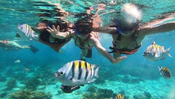HurghadaExperiences