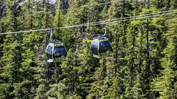溫哥華出發Squamish小鎮+吊橋海天纜車包車一日遊