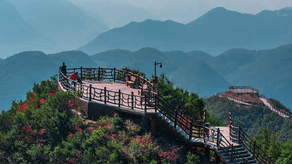 Шанло: аренда автомобиля с водителем, услуги гида, переводчика, встреча и проводы, туристические выставки, бизнес-инспекции, сопровождение на медицинские приемы