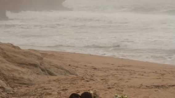 Лиссабон: роскошный винтажный пикник