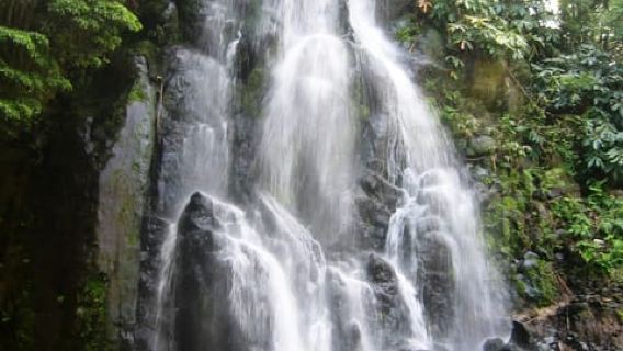 Full-Day 4x4 Nordeste Azores Tour from Ponta Delgada