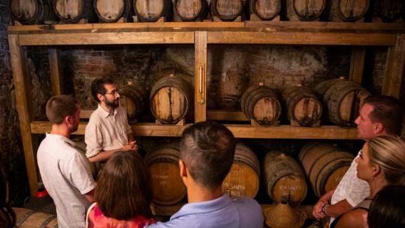 Ab Florenz: Führung durch Siena und San Gimignano mit Abendessen