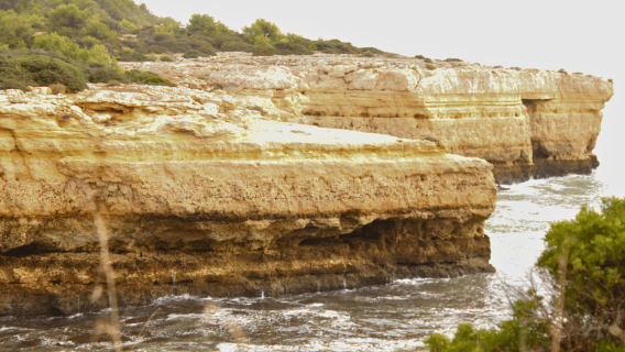 Lagoa: Seven Hanging Valleys Scenic E-Bike Tour