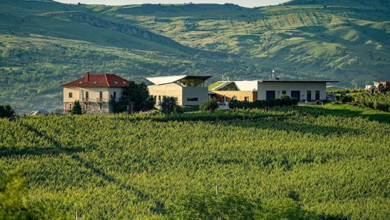Salzbergwerk, Mittagessen im Weingut und Draculas Grab – Kleine Gruppe, 19 Uhr