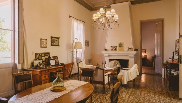 Zubizarreta Carmelo-wijnervaring (privé vanuit Colonia del Sacramento)