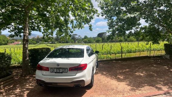 Expérience de dégustation de vin à Stellenbosch, Franschhoek et Paarl
