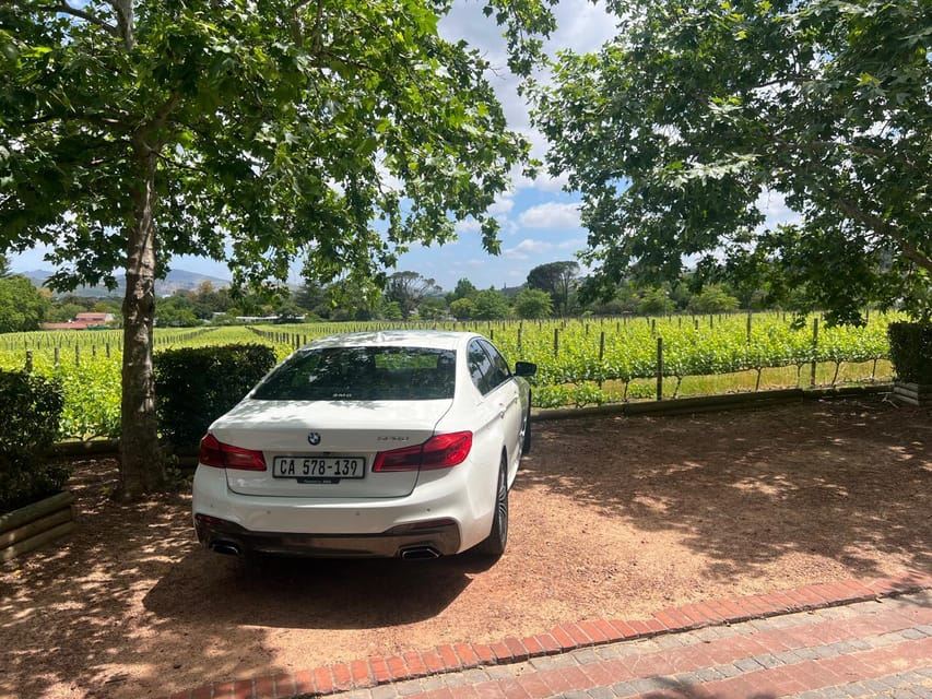 Wine Tasting Experience in Stellenbosch, Franschhoek & Paarl