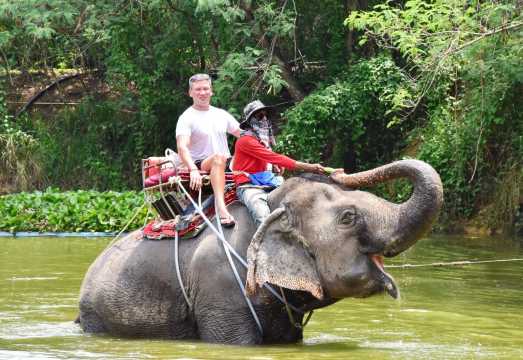 [Available Today] Pattaya Safari Elephant Park [Pattaya's Hottest Attraction]