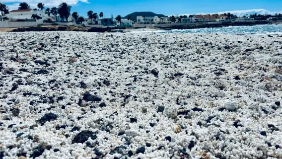 Lobos:8persons group with guide-Lobos, Popcorn Beach & Dunes