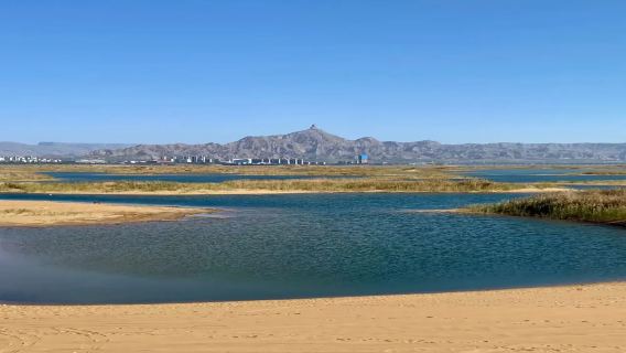 1-day tour from Yinchuan to Manbalaseng Temple and Wuhai Lake with distant view of Gandar Mountain