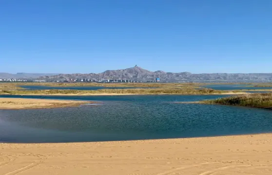 銀川出發+拉僧廟+烏海湖遠觀甘德爾山一日遊