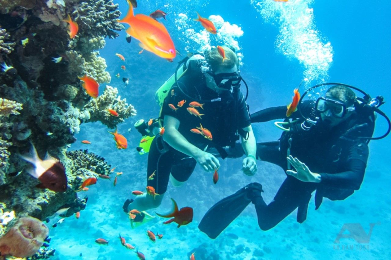 나트랑 프라이빗 스쿠버다이빙 체험 – 산호초 다이빙 (다이브 마스터 동행)