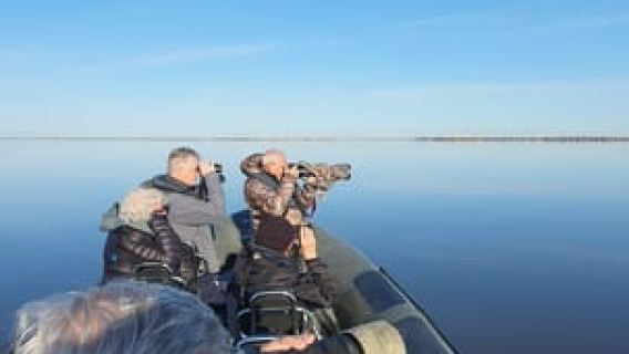 Tour in barca per il birdwatching nell'estuario del Tago