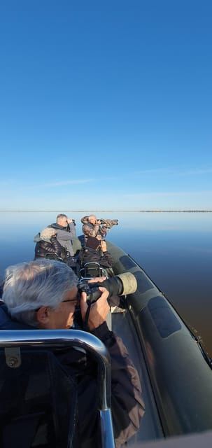 Tour in barca per il birdwatching nell'estuario del Tago