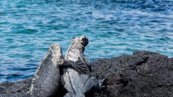 tour di un giorno all'isola Floreana delle Galápagos