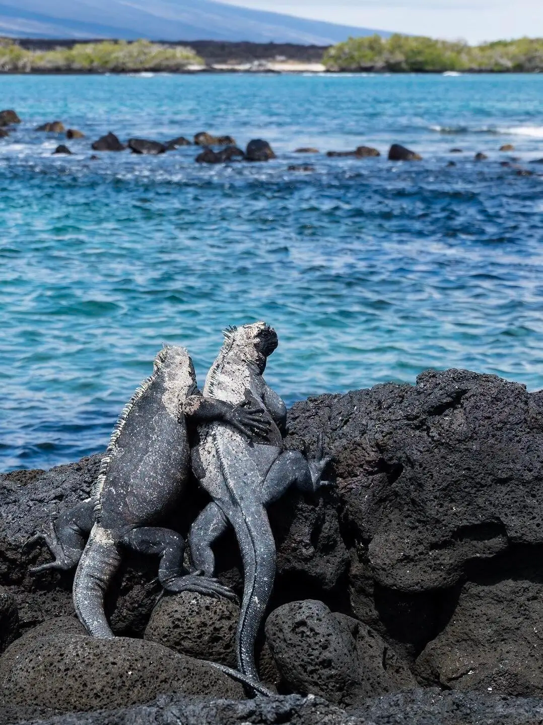 1-day tour to Floreana Island in the Galapagos Islands