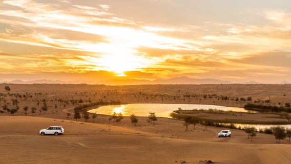 Safari Platine dans le désert de Dubaï en Land Rover Defender avec spectacle de fauconnerie et dîner gastronomique