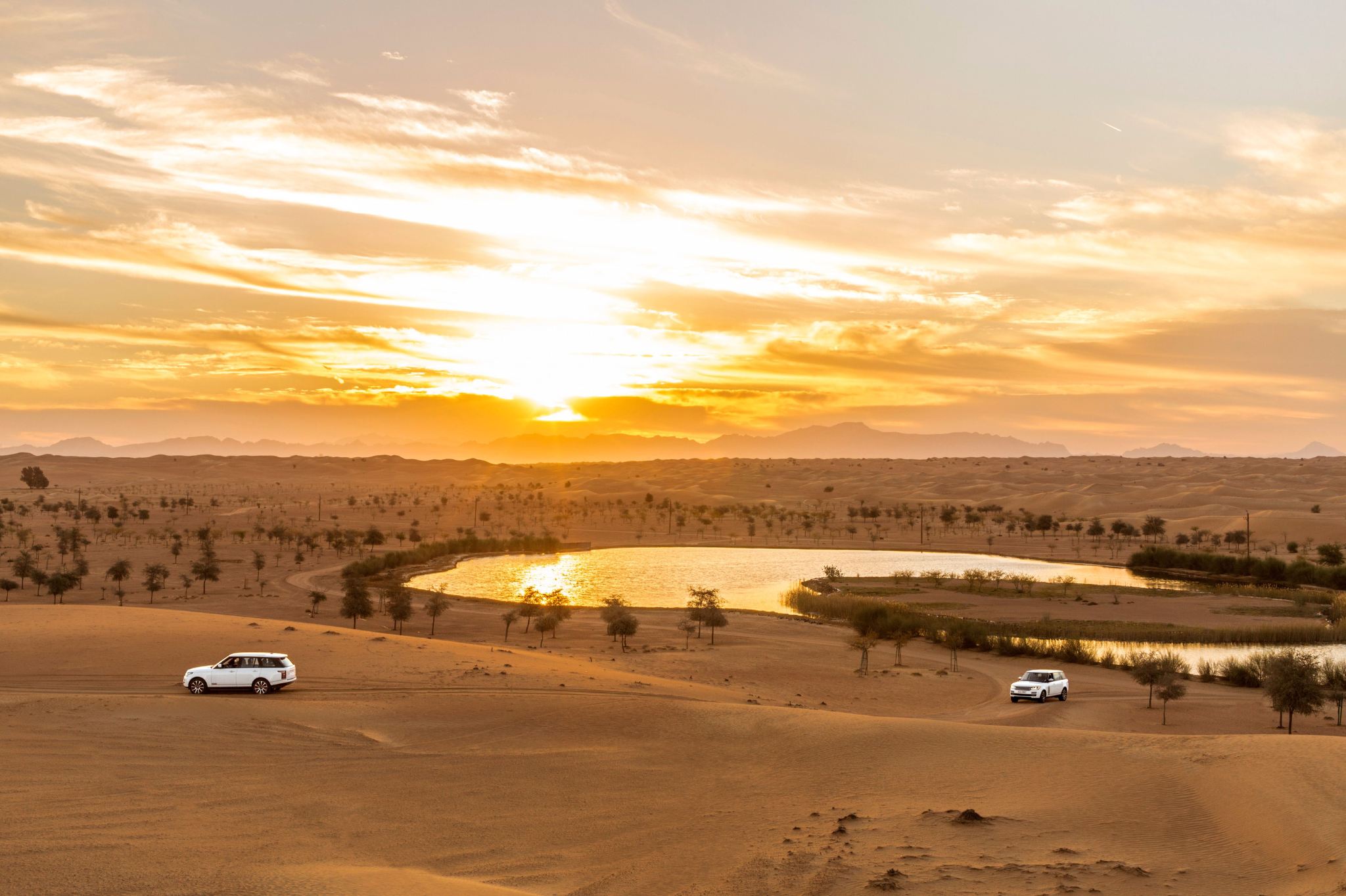 Dubai Platinum Desert Safari by Land Rover Defender with Falconry Show& Fine-dining Dinner