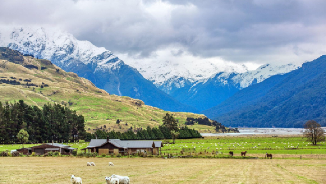 Christchurch + Arthur's Pass + TranzAlpine train—classic private charter