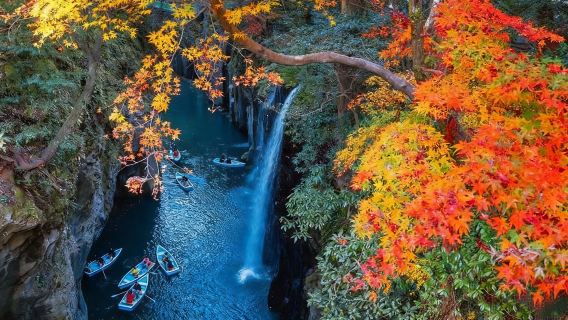1-day Tour of Kyushu's Top 3 Scenic Spots: Miyazaki Takachiho Gorge & Unique Train Experience