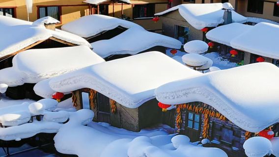 中國雪鄉+亞布力滑雪旅遊度假區滑雪【②日小團丨無購物亞布力西站起止高鐵團】