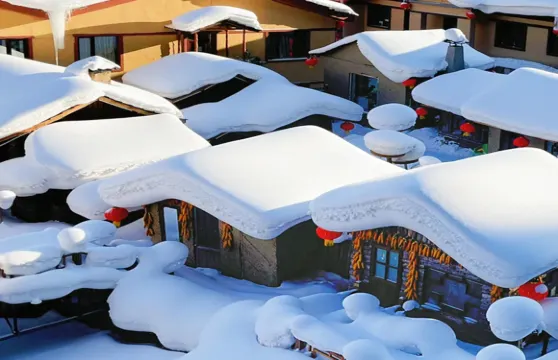 中國雪鄉+亞布力滑雪旅遊度假區【精品小團丨無購物亞布力西站起止高鐵團】