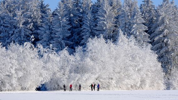 挪威斯沃爾維爾｜羅弗敦羣島精華打卡小團【包車/跟團可選】