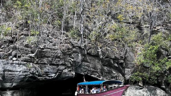 Langkawi Mangrovie + Grotta dei Pipistrelli + Alimentazione delle Aquile + Nuoto in Spiaggia