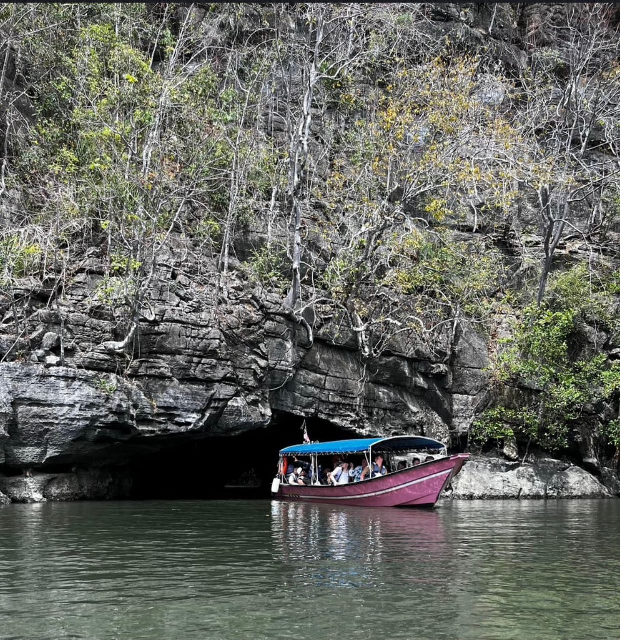Langkawi Mangrovie + Grotta dei Pipistrelli + Alimentazione delle Aquile + Nuoto in Spiaggia