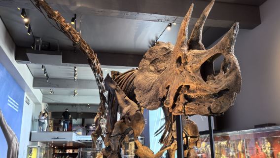 美國-洛杉磯機場-西部城市【機場接送/定制包車/中文司機】